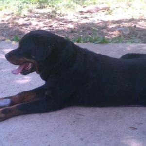 524088_10151127469722316_1676607697_n