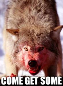 10943766_822090257832331_6640501047271906615_n